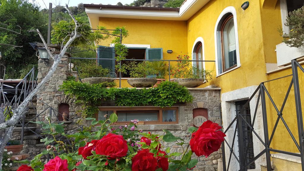 Il Nido Del Falco Bed and Breakfast Castel Gandolfo Eksteriør billede