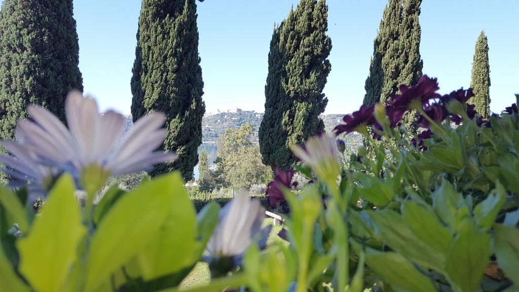 Il Nido Del Falco Bed and Breakfast Castel Gandolfo Eksteriør billede